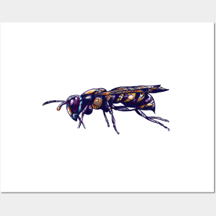 Wasp Bee Insect Illustration Posters and Art